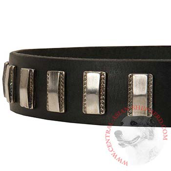 Stylish Leather Collar with Vintage Plates for Central Asian Shepherd