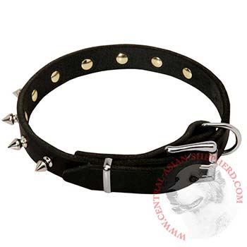 Central Asian Shepherd Dog Leather Collar Steel Nickel Plated Spikes