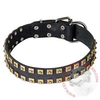 Leather Central Asian Shepherd Collar with Firm Studs