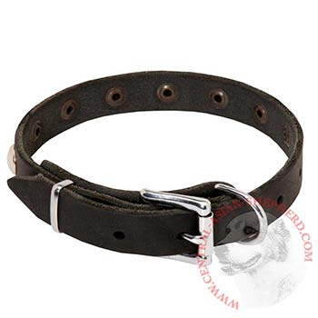 Leather Dog Puppy Collar with Steel Nickel Plated Studs for Central Asian Shepherd