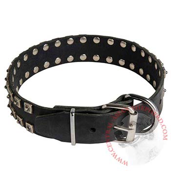 New Buckle Leather Central Asian Shepherd Collar Studded New Adjustable