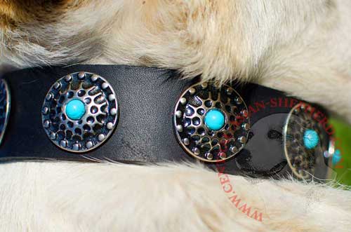 Nickel Circles with Blue Stones Riveted to Leather Central Asian Shepherd Collar