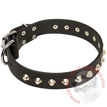 Soft Leather Central Asian Shepherd Collar with Nickel Studs