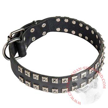 Leather Central Asian Shepherd Collar Wide Strong Studded