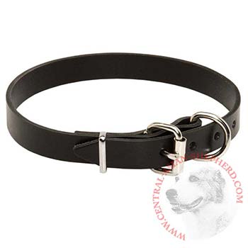 Central Asian Shepherd Leather Dog Collar For Everyday Training