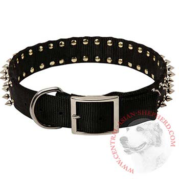 Central Asian Shepherd Wide Dog Nylon Collar Spiked