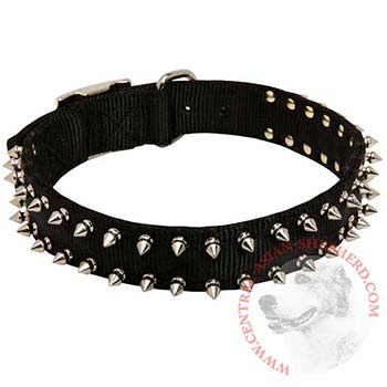 Central Asian Shepherd Dog Nylon Collar Steel Nickel Plated Spikes