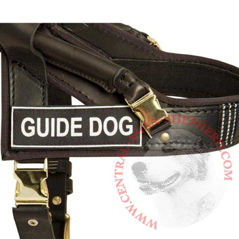 Central Asian Shepherd Leather Guid Harness with ID Patches