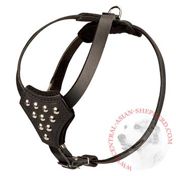 Leather Dog Puppy Harness with Studded Chest Plate