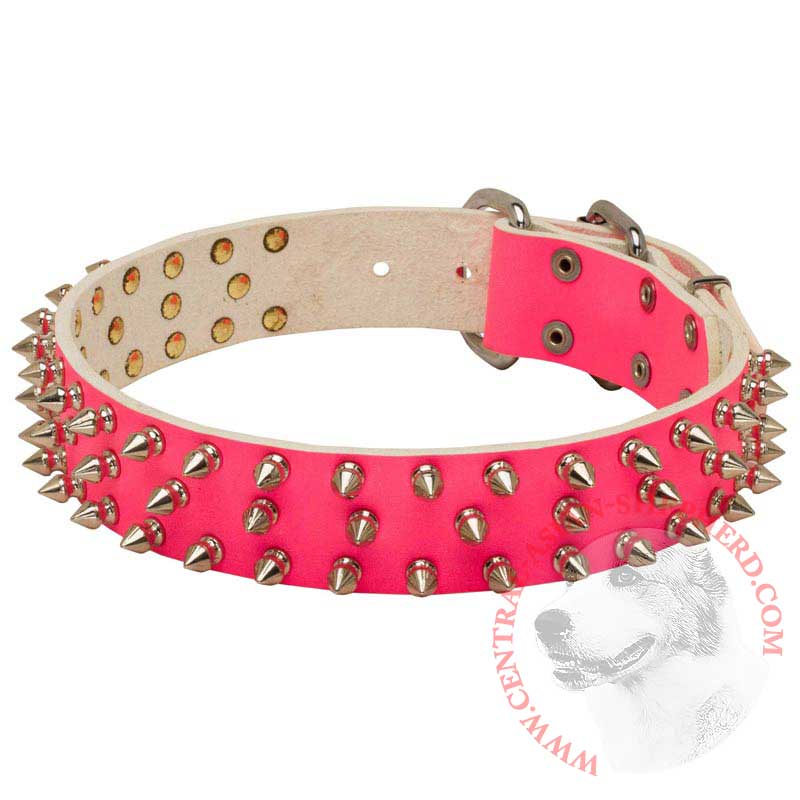 pink leather spiked dog collar