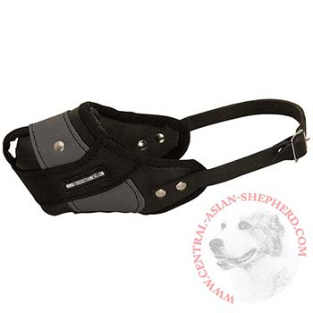 Central Asian Shepherd Muzzle Leather and Nylon for Walking and Training