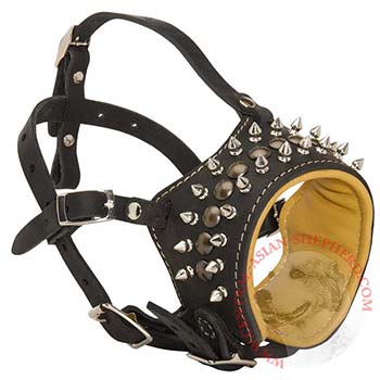 Walking Training Designer Black Dog Muzzle for Central Asian Shepherd