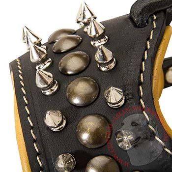 Central Asian Shepherd Muzzle Leather with Spikes and Studs